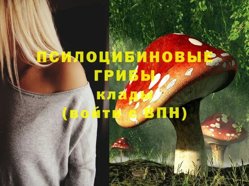 купить наркотик  KRAKEN онион  Галлюциногенные грибы Magic Shrooms  Донской 